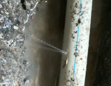 邢台测漏水哪家好