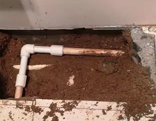 邢台测漏水哪家好