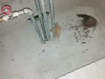 邢台卫生间测漏水价格明细